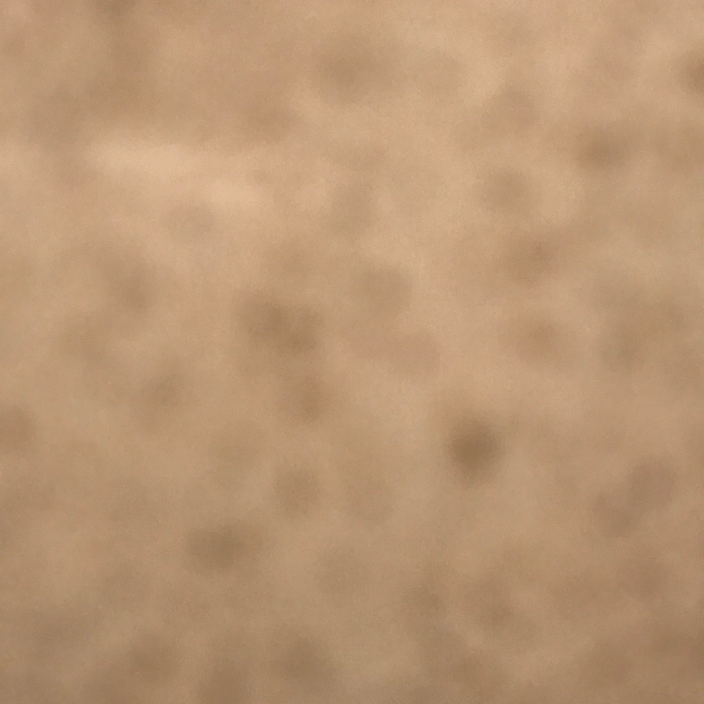 Meet your Posher, Mari